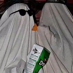 Picture for song 'dodo' by artist 'pandamusic'