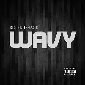 Picture for song 'Wavy' by artist 'Savageboy1'