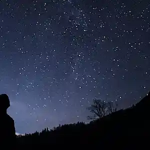 Picture for song 'NIGHT (BUY 1 GET 1 FREE)' by artist 'ATOM BEATS'