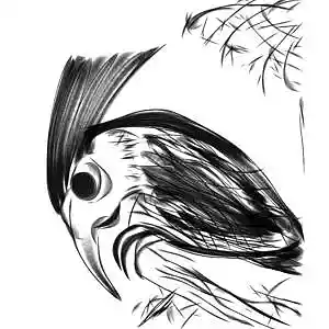 Picture for song 'Mannina Magani' by artist 'Weishaupt'