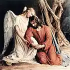 Picture for song 'In The Angel's Embrace' by artist 'The Well is Deep'