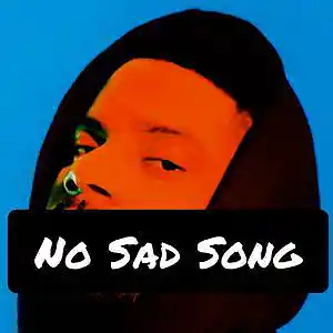 Picture for song 'No Sad Song (RnB x Bryson Tiller)' by artist 'Too Loud Beatz'