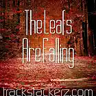 Picture for song 'The Leafs Are Falling' by artist 'TRACKSTACKERZ'