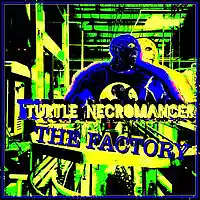 Picture for song 'The Factory' by artist 'Turtle Necromancer'