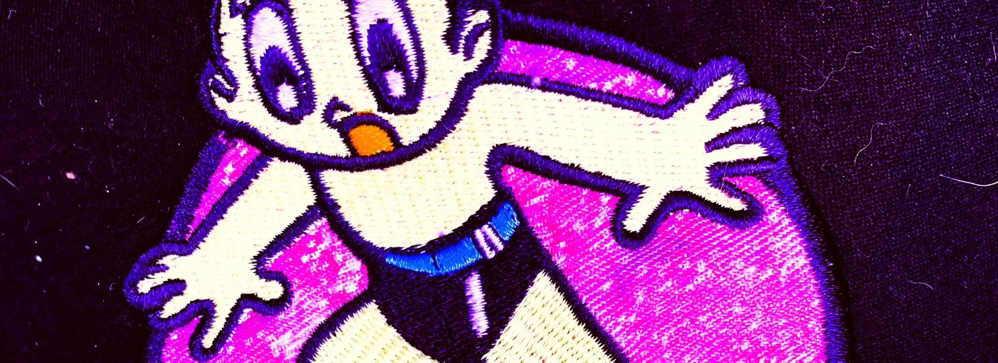 cover pic