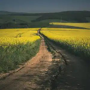 Picture for song 'Summer Time (Free)' by artist 'AdriatikMuic'