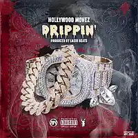 Picture for song 'Drippin (prod by Lasik Beats)' by artist 'Hollywood Movez'