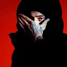 cover pic