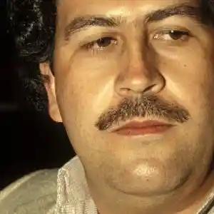 Picture for song 'war' by artist 'SIAHhighashell'