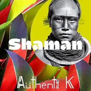 Picture for song 'Shaman (Wizkid x Rauw Alejandro x Daddy Yankee)' by artist 'Authenti K Beatmaker'