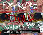 Picture for song 'I Lost Consciousness (And Became a Fly on a Wall)' by artist 'Extreme Volume Pop'