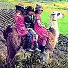 Picture for song 'Ecuador Journey' by artist 'Jon Christian'