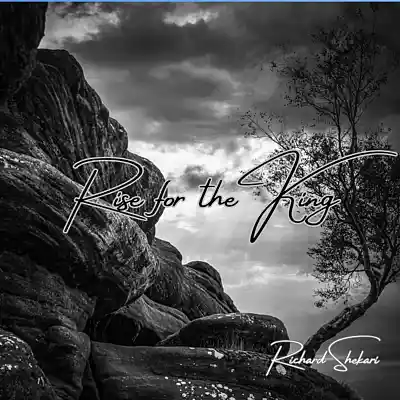Picture for song 'Rise For The King' by artist 'Richard Shekari'