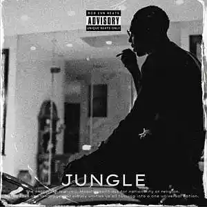 Picture for song 'Jungle ($400 EXCLUSIVE)' by artist 'Rob EVN'