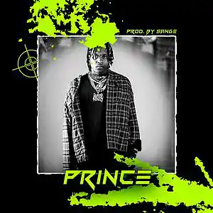 Picture for song 'Polo G x Hotboii x Lil Durk Type Beat - Prince' by artist 'sange beats'
