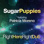 Picture for song 'Right Here, Right Dub' by artist 'Sugar Puppies'