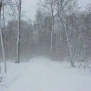 Picture for song 'just keep playin' by artist 'Tay-Kanic Productions'