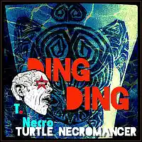 Picture for song 'Ding Ding' by artist 'Turtle Necromancer'