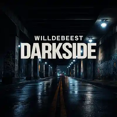 Picture for song 'Dark side' by artist 'Willdebeest'