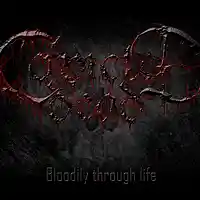 Picture for song 'True Lies - Instrumental' by artist 'Convicted Dead'