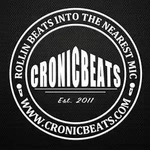 Picture for song 'Fighter (Sold)' by artist 'Cronicbeats'