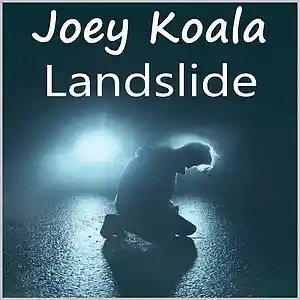 Picture for song 'Landslide' by artist 'Joey Koala'
