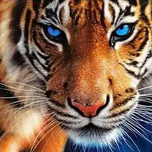 Picture for song 'On the prowl SAINtJHN type beat' by artist 'PKS Beatz'