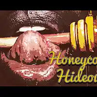 Picture for song '*FREE D/L Reggae Type* Honeycomb Hideout 87 BPM' by artist 'Young Surf On Da Beat'