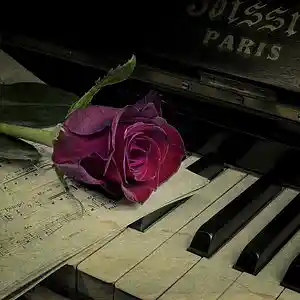 Picture for song 'A.L.P.H.A. Theme Piano Arr.' by artist '2uo7rax'