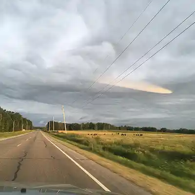 Picture for song 'Shamung Floral Gardens June 2024' by artist 'AuDioChosis - Steven F. Allen - AuDio MiRage'