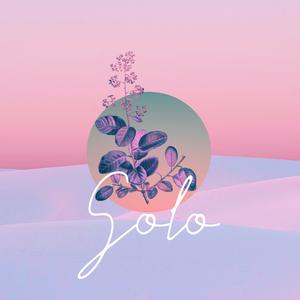 Picture for song 'Fly Solo' by artist 'Beats by Pixel'