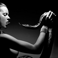 Picture for song 'Temptation' by artist 'Bobby Bizar'