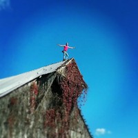 Picture for song 'Locust and Honey' by artist 'Outlawmagic'