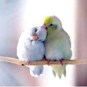 Picture for song 'Sweetness' by artist 'Christian Faivre'