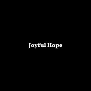 Picture for song 'Joyful Hope - Jersey Drill x Jersey Club Type Beat' by artist 'DJ Mauri B'