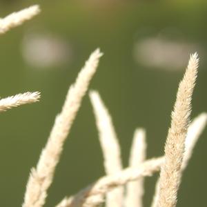 Picture for song 'In the End (Original Track)' by artist 'Ed Drury'