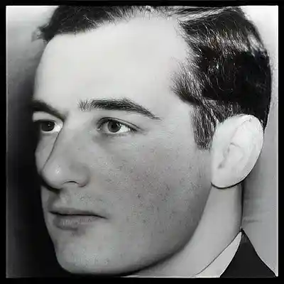 Picture for song 'Wallenberg' by artist 'Frederick Serafim'