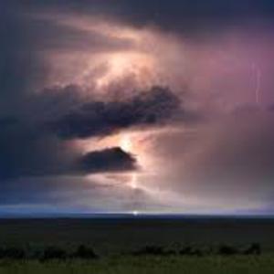 Picture for song 'Muffin' Stuffin'' by artist 'Johanna Renfro'