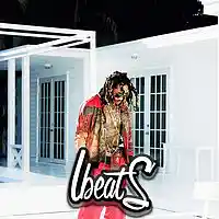 Picture for song 'No Pretindo' by artist 'Lbeats.com'