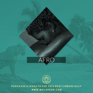 Picture for song '[ Afro ] Afrobeat Rnb type beat' by artist 'Malakkor'