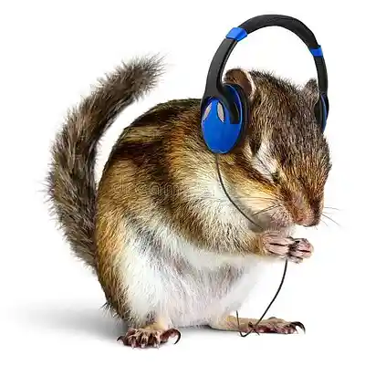Picture for song 'perc40 type beat' by artist 'maxxyn00'
