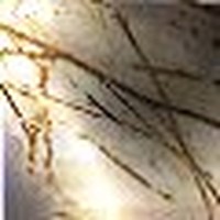 Picture for song 'Evening Gleaming' by artist 'Michael Chocholak'