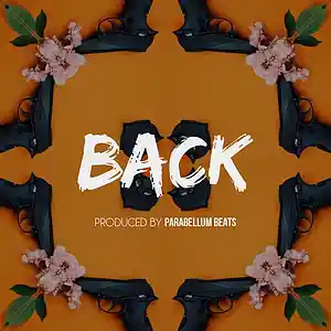 Picture for song 'Back' by artist 'Parabellum Beats'