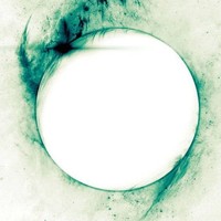 Picture for song 'Fly on the wall' by artist 'Seagull (FMS)'