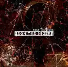 Picture for song 'Watch the strobo (and black out)' by artist 'Sonitus Niger'