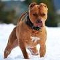 Picture for song 'Im High & Made It' by artist 'Spree Da Beat Builder'