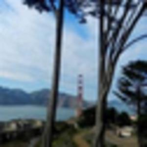 Picture for song 'PRESIDIO (BUY 1 GET 4 FREE)' by artist 'THISNTHAT'