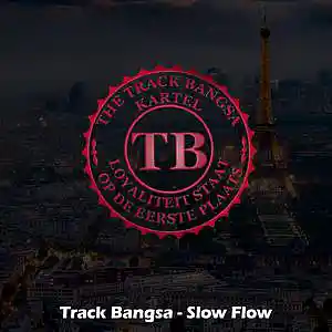 Picture for song 'Track Bangsa-Slow Flow 140 BPM' by artist 'Track Bangsa'