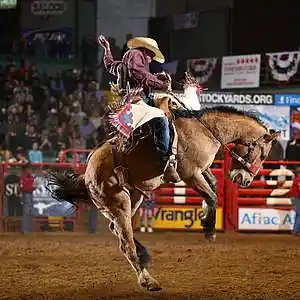 Picture for song 'Rodeo *BUY 1 GET 1 FREE*' by artist 'Vape D'