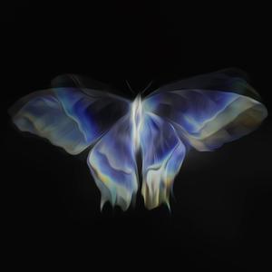 Picture for song 'Lil Uzi Vert x Lil Tecca Type Beat - Butterfly' by artist 'WHAT?BOYBEATS'